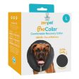 ZenPet ZenCollar Inflatable Recovery Collar 1ea LG Online Sale