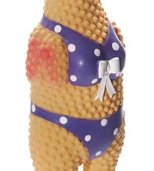 Charming Pet Products Squawkers Henrietta Dog Toy Multi-Color 1ea LG Online