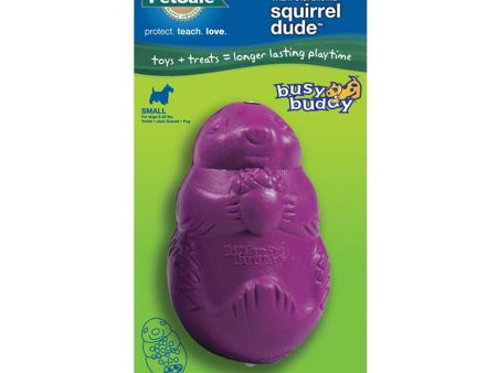 Busy Buddy Dog Toy Squirrel Dude Purple 1ea SM For Cheap