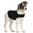 ZenPet ZenDog+ Compression Shirt 1ea SM For Discount