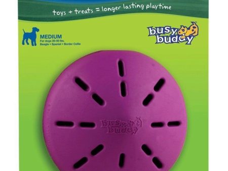 Busy Buddy Twist n Treat Toy Purple 1ea MD Online Sale