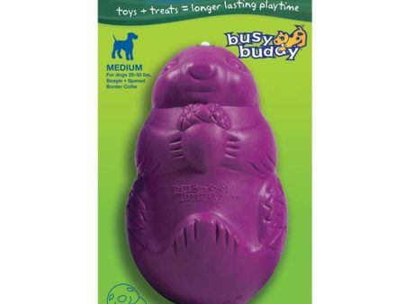 Busy Buddy Dog Toy Squirrel Dude Purple 1ea MD Discount