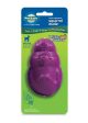 Busy Buddy Dog Toy Squirrel Dude Purple 1ea MD Discount