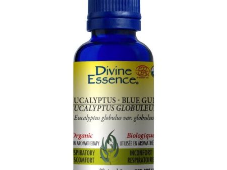 Divine- Eucalyptus Blue Gum (30mL) Discount