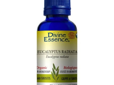 Divine-Eucalyptus Radiata Org. (30ml) Online Hot Sale