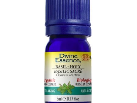 Divine- Basil  Holy (5mL) Online Hot Sale