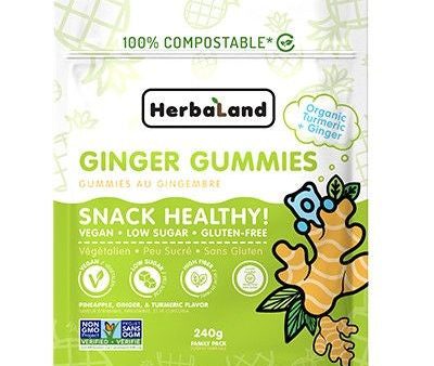 Herbaland- Healthy Snack Pack Ginger 240g Supply