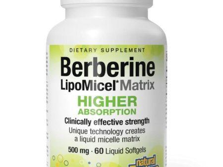 Berberine LipoMicel Matrix 500 mg 60 Softgels Online Sale